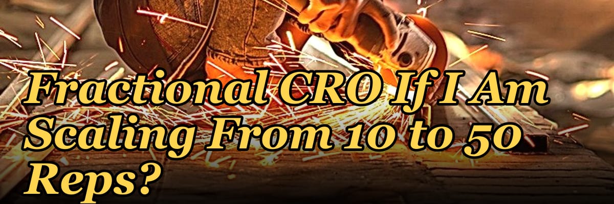 Should I Hire a Fractional CRO If I Am Scaling From 10 to 50 Reps in 2027?