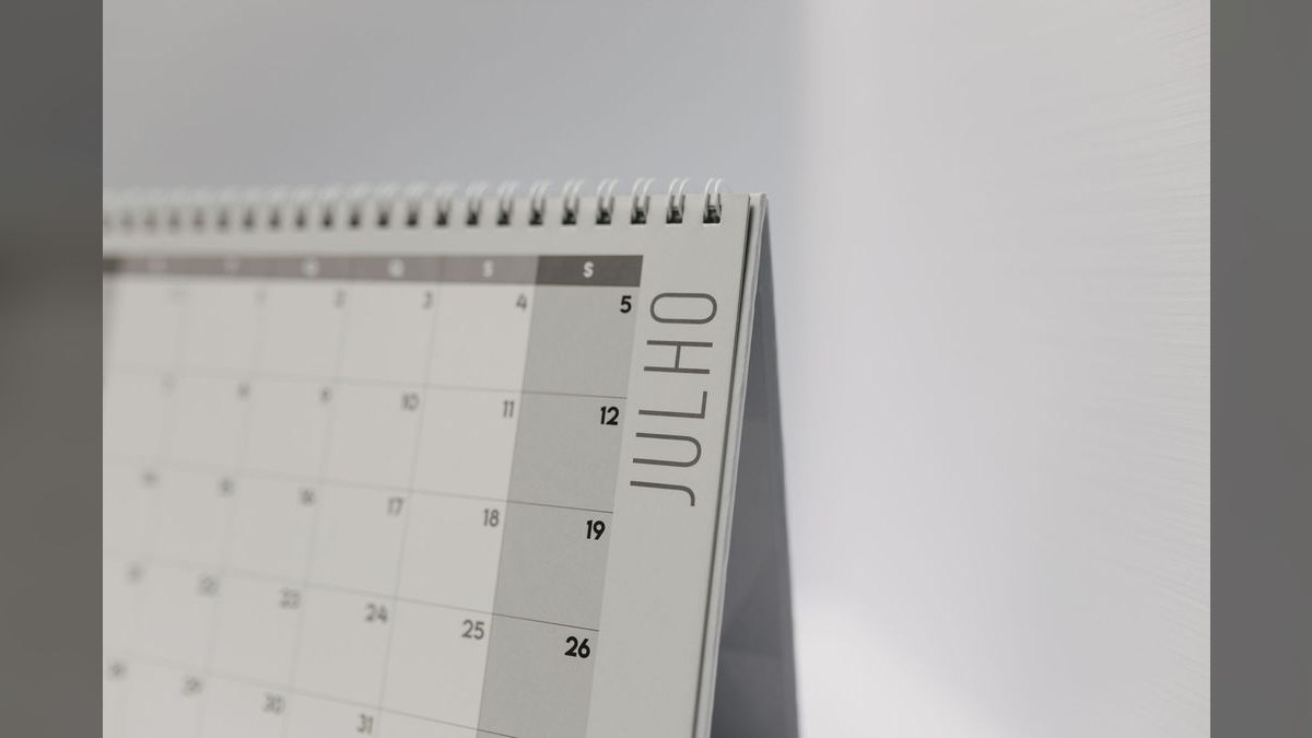 How many hours a month does a fractional CRO work — figure 2