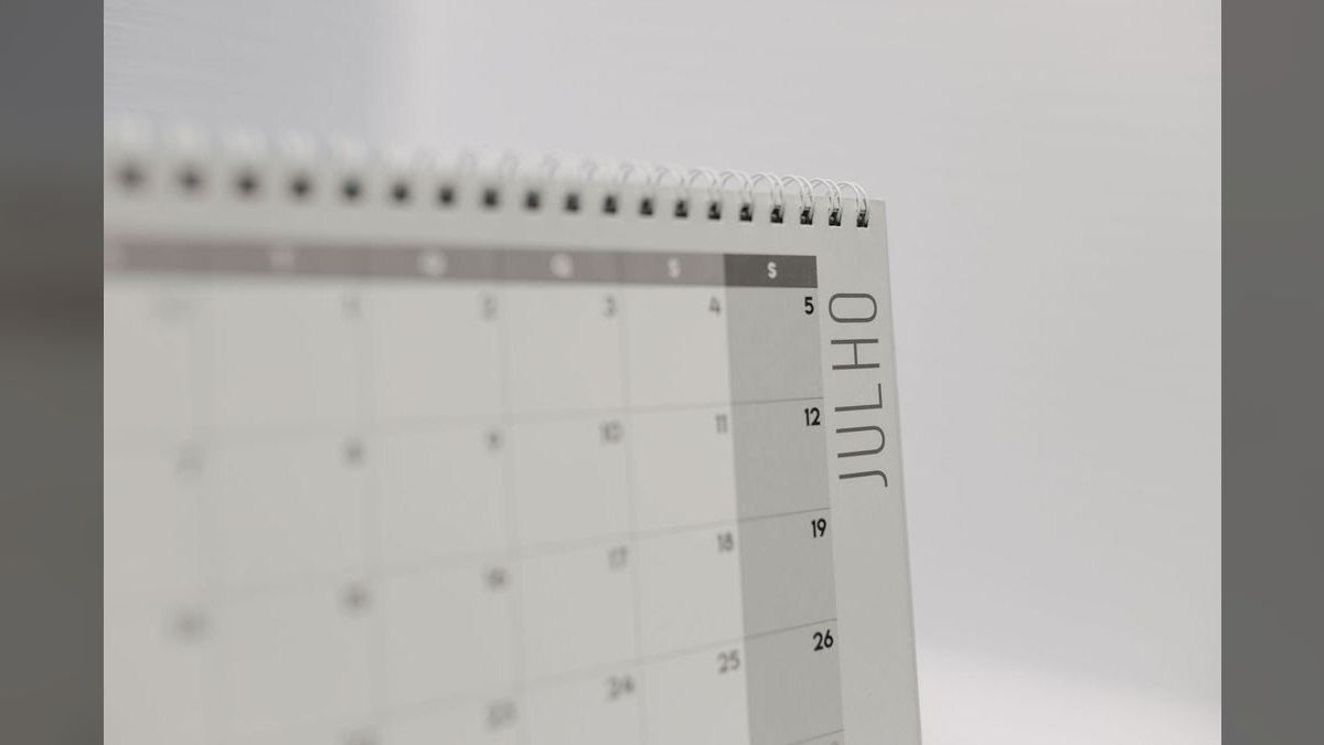 How many hours a month does a fractional CRO work — figure 3