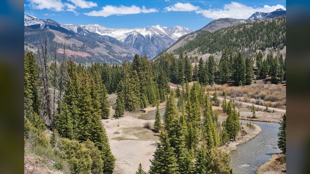 What should I look for in a fractional CRO in Colorado Springs — figure 3
