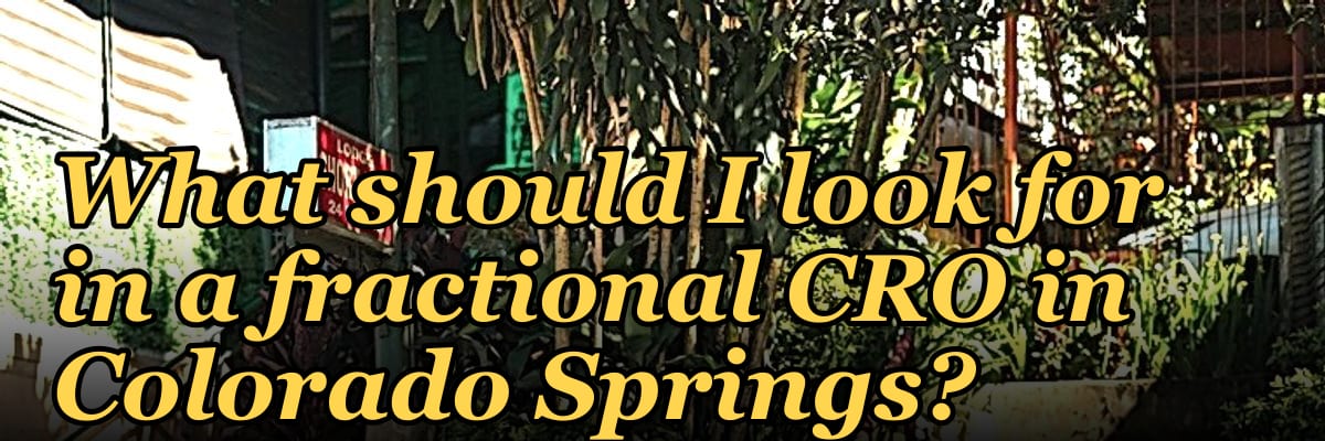 What should I look for in a fractional CRO in Colorado Springs in 2027?