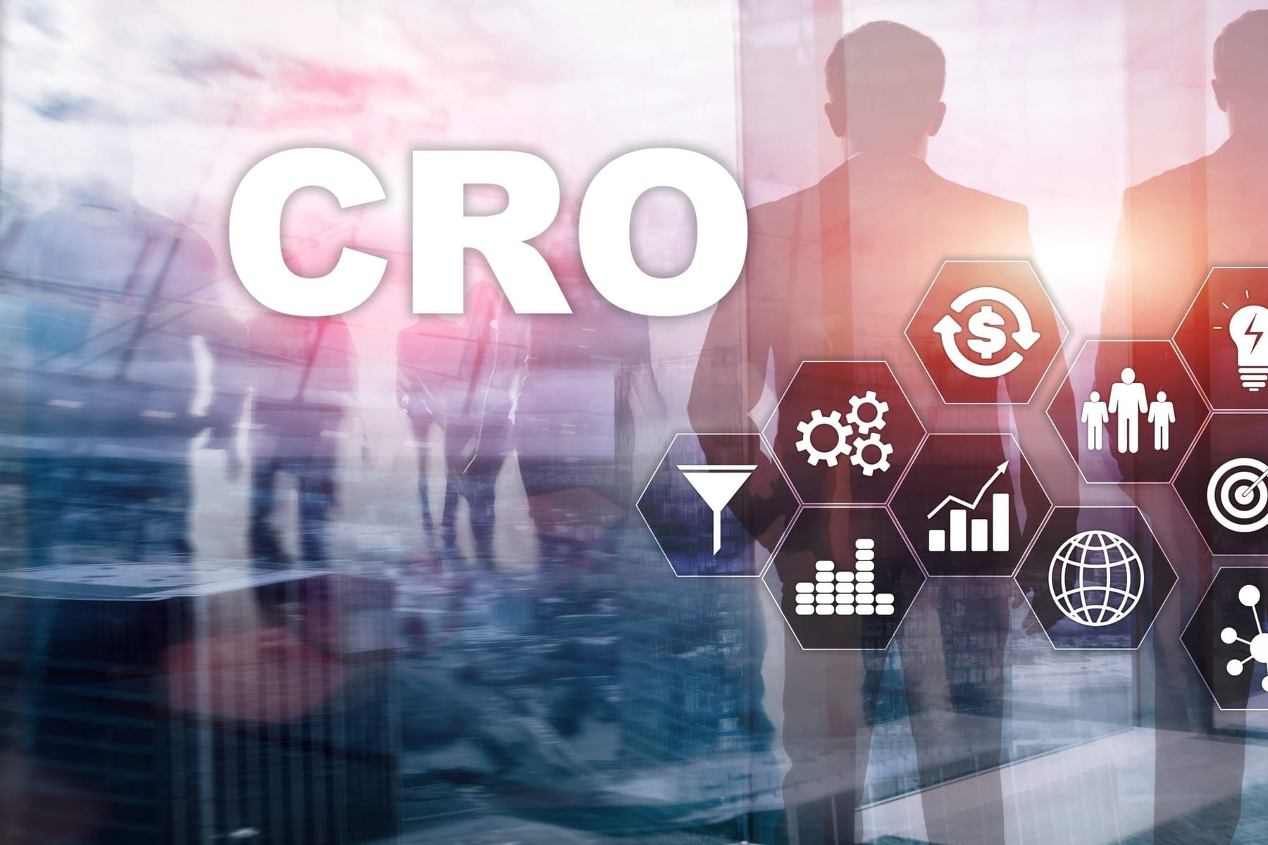 Where do I find an interim CRO in New Mexico in 2027?
