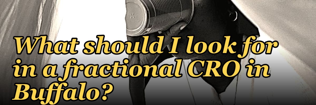 What should I look for in a fractional CRO in Buffalo in 2027?