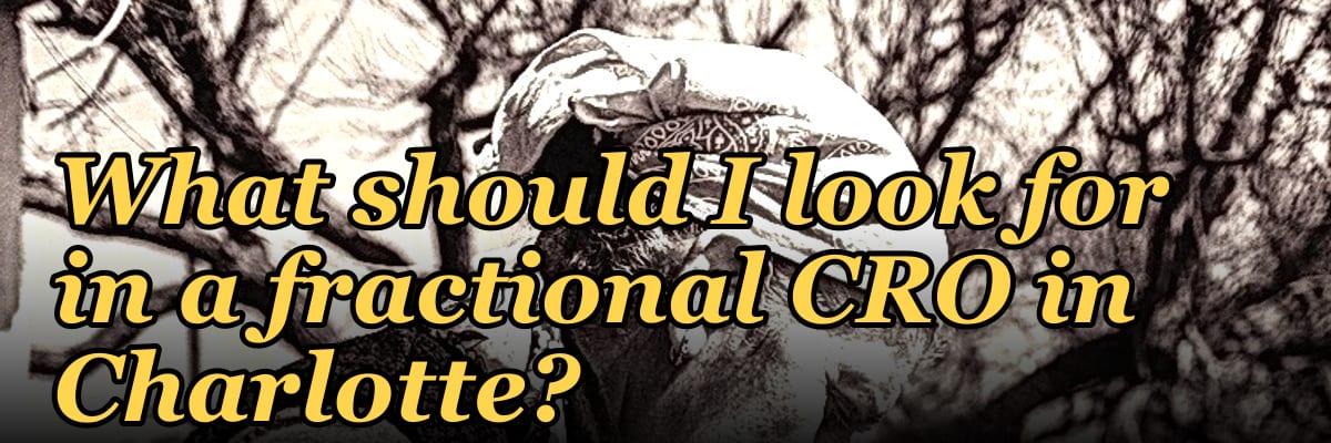 What should I look for in a fractional CRO in Charlotte in 2027?