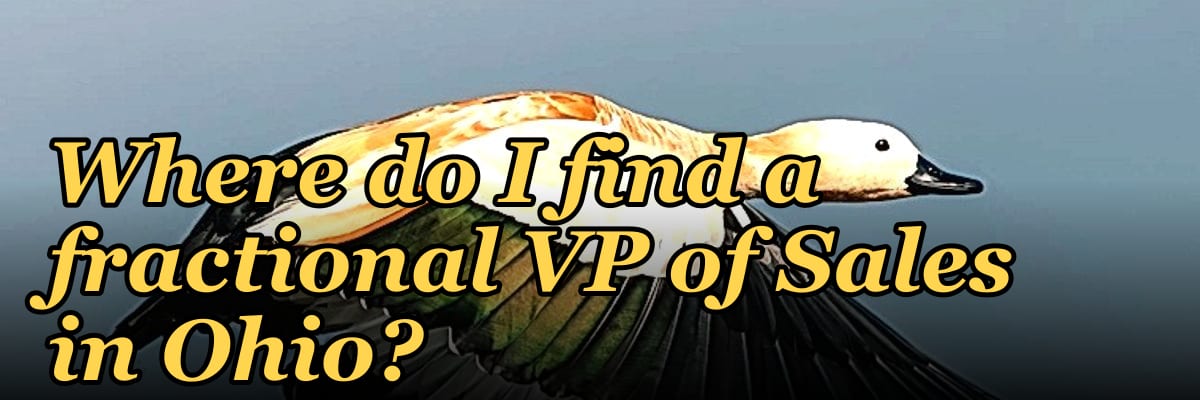 Where do I find a fractional VP of Sales in Ohio?
