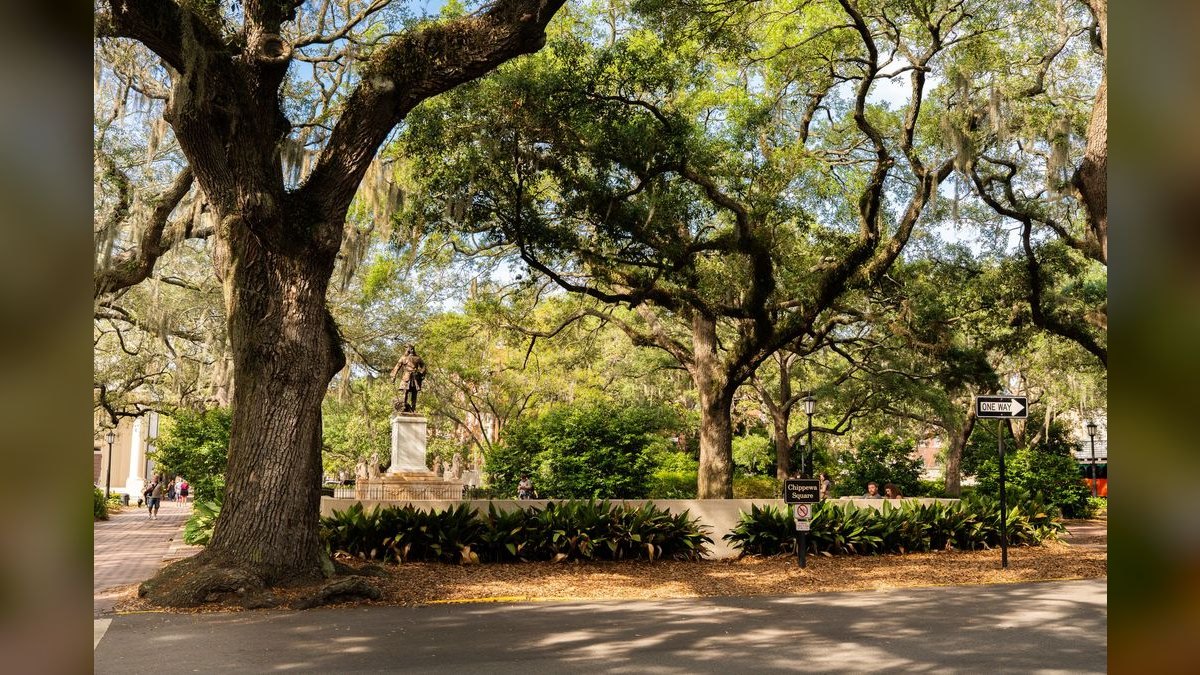 What should I look for in a fractional CRO in Savannah — figure 4