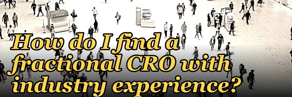 How do I find a fractional CRO with industry experience in 2027?