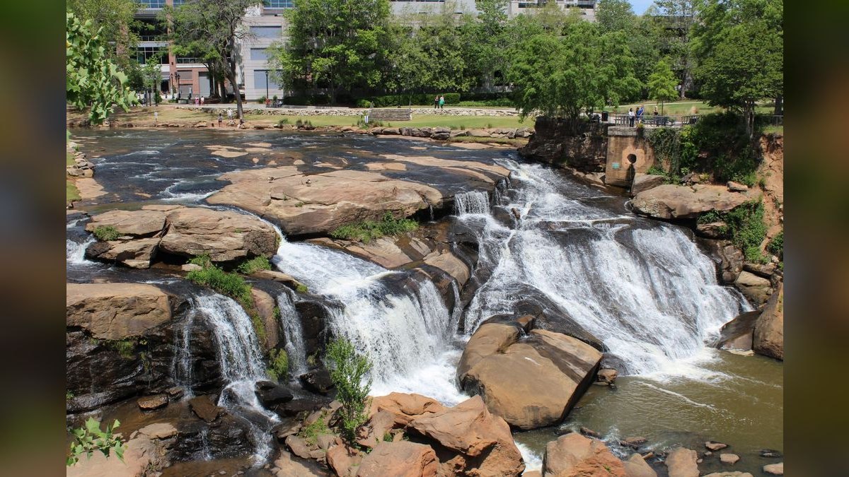 What should I look for in a fractional CRO in Greenville — figure 2
