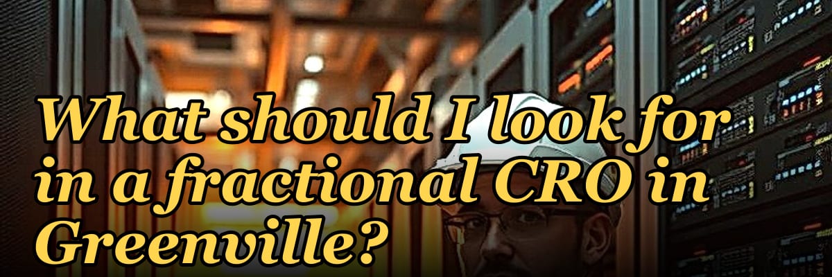 What should I look for in a fractional CRO in Greenville in 2027?