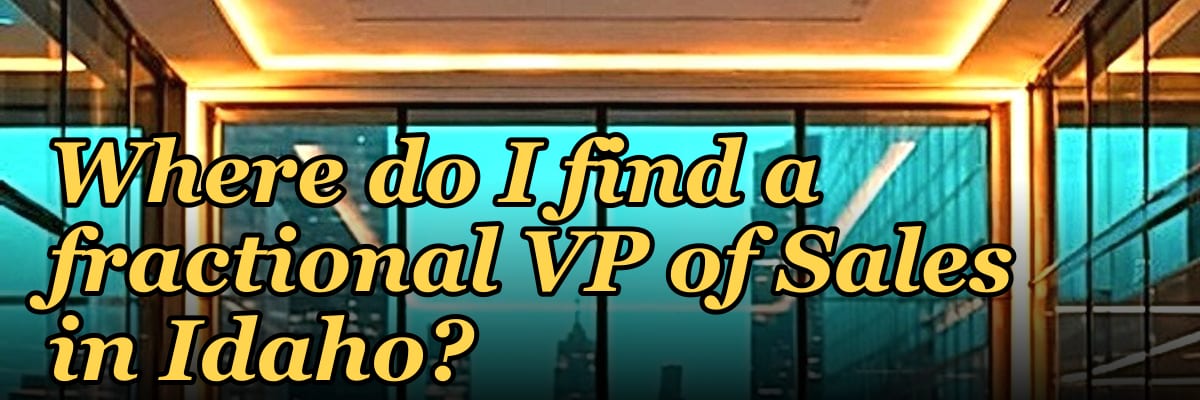 Where do I find a fractional VP of Sales in Idaho?