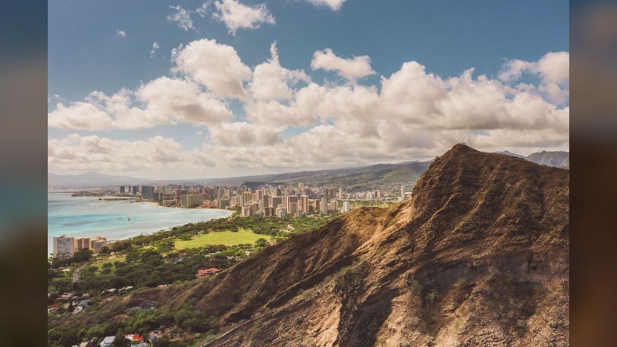 What should I look for in a fractional CRO in Honolulu — figure 2