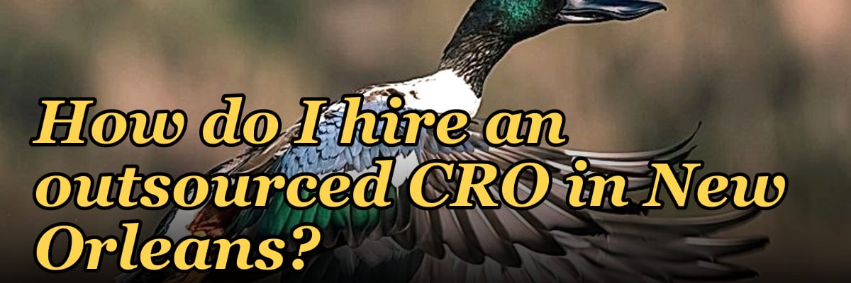 How do I hire an outsourced CRO in New Orleans in 2027?