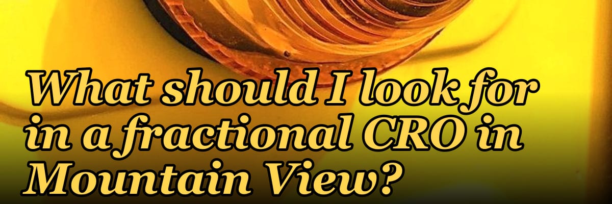 What should I look for in a fractional CRO in Mountain View in 2027?