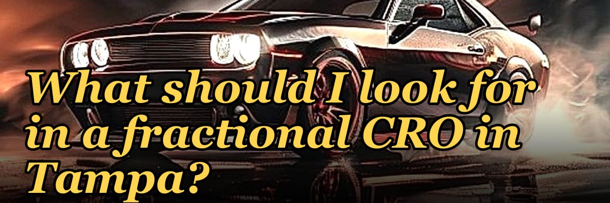 What should I look for in a fractional CRO in Tampa in 2027?