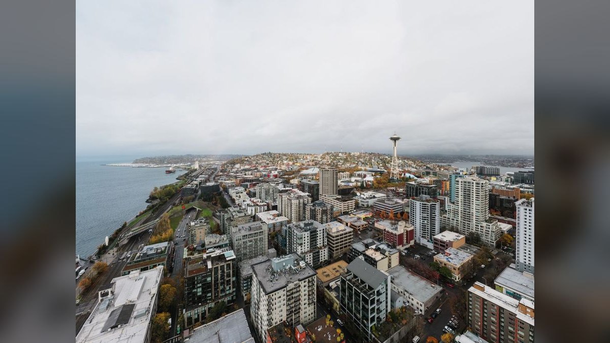 What should I look for in a fractional CRO in Bellevue — figure 2