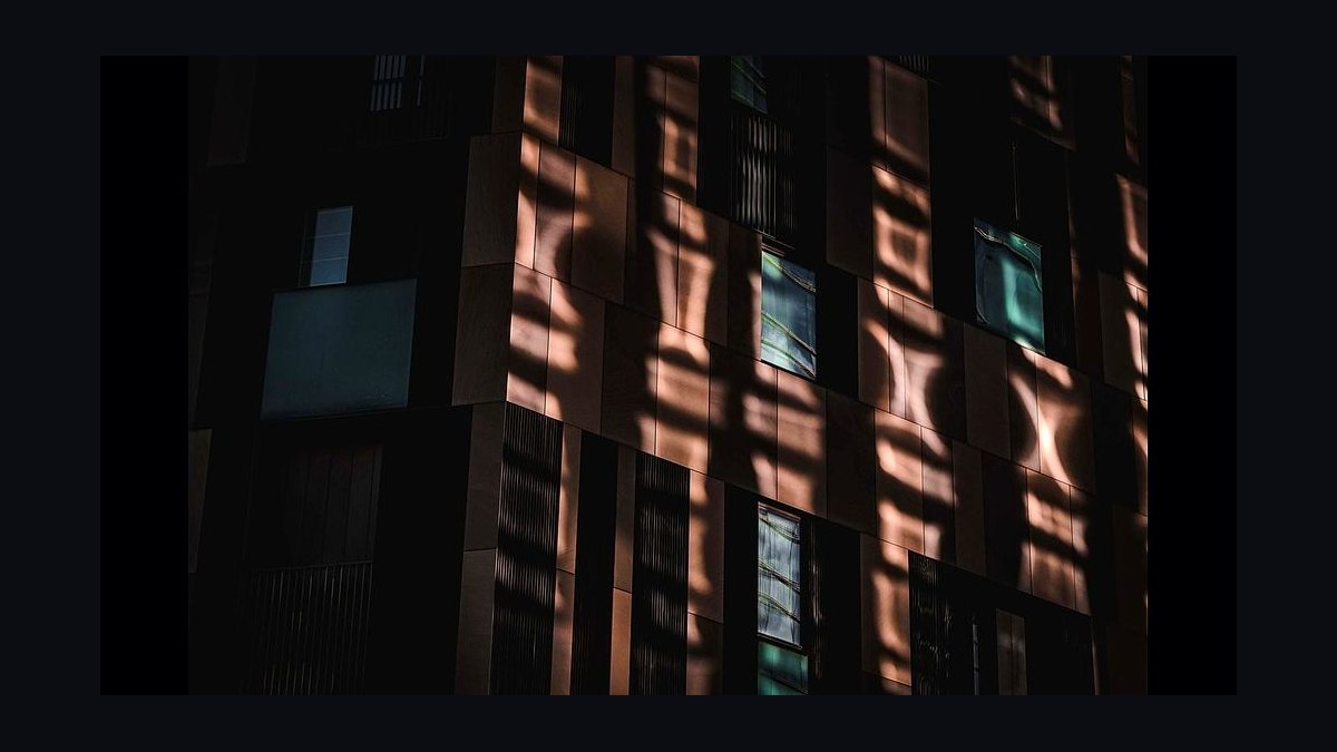 What should I look for in a fractional CRO in Bellevue in 2027 — figure 6
