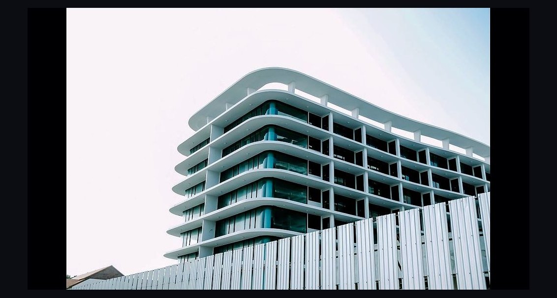 What should I look for in a fractional CRO in Bellevue in 2027?