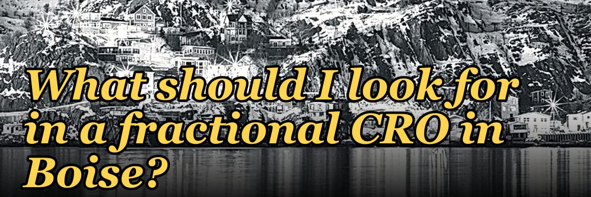 What should I look for in a fractional CRO in Boise in 2027?