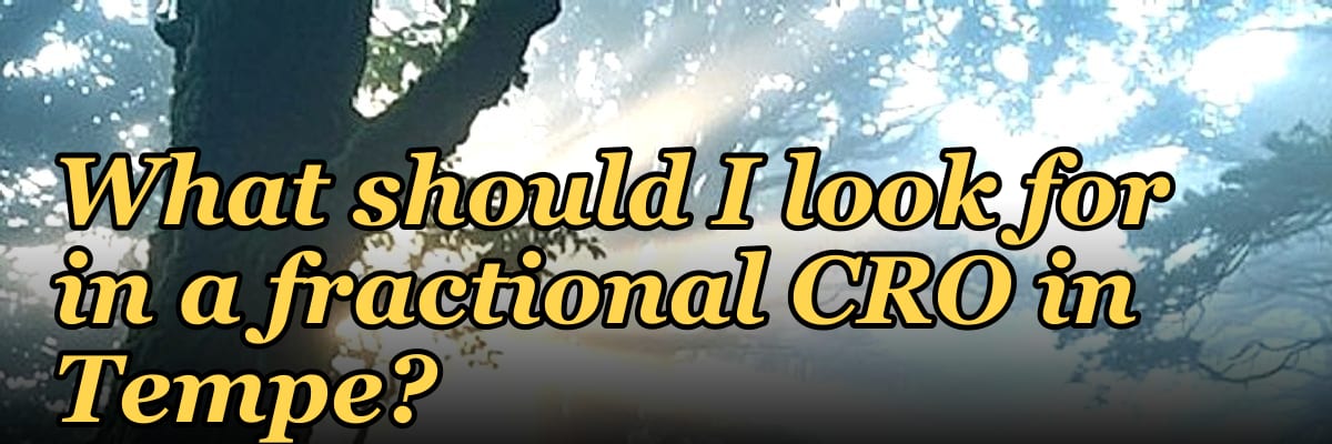 What should I look for in a fractional CRO in Tempe in 2027?