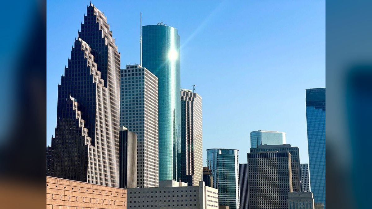 What should I look for in a fractional CRO in Houston — figure 4