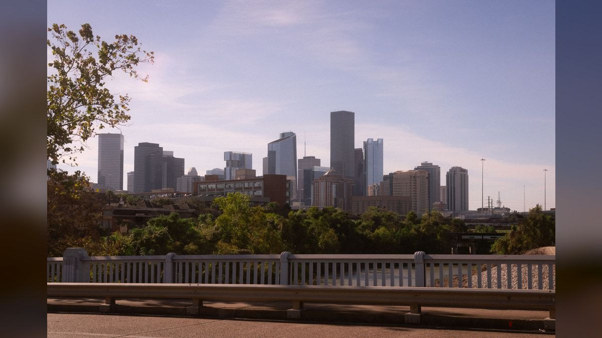 What should I look for in a fractional CRO in Houston in 2027?