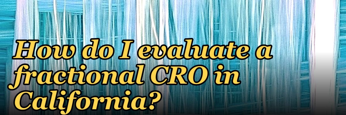 How do I evaluate a fractional CRO in California in 2027?
