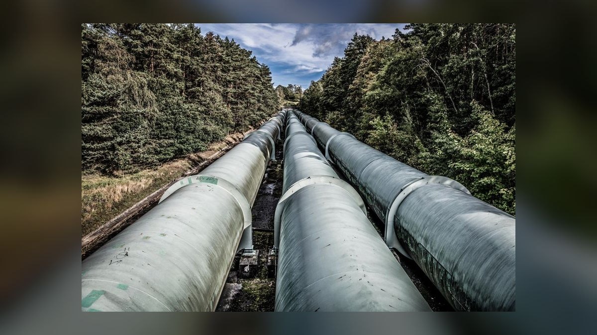 How does a fractional CRO build pipeline for a life sciences company in 2027 — figure 8