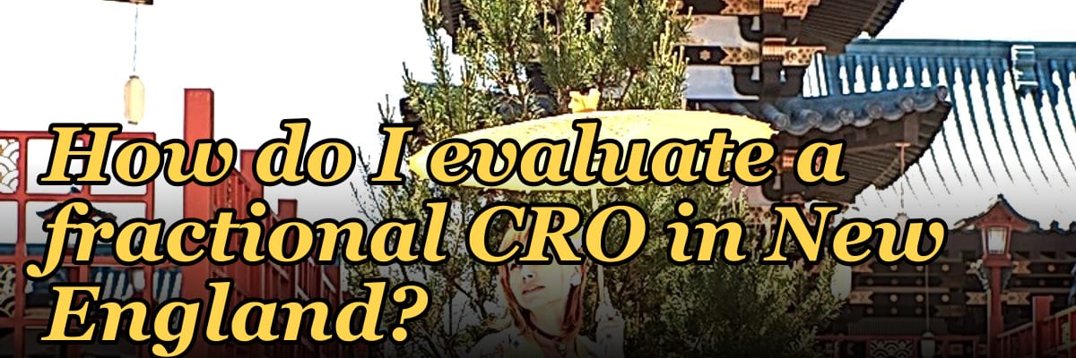 How do I evaluate a fractional CRO in New England in 2027?