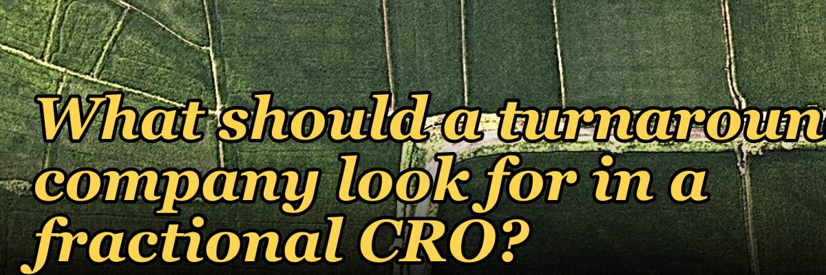 What should a turnaround company look for in a fractional CRO in 2027?