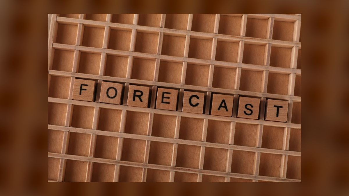 How does a fractional CRO fix forecasting at a government contracting company in 2027 — figure 9