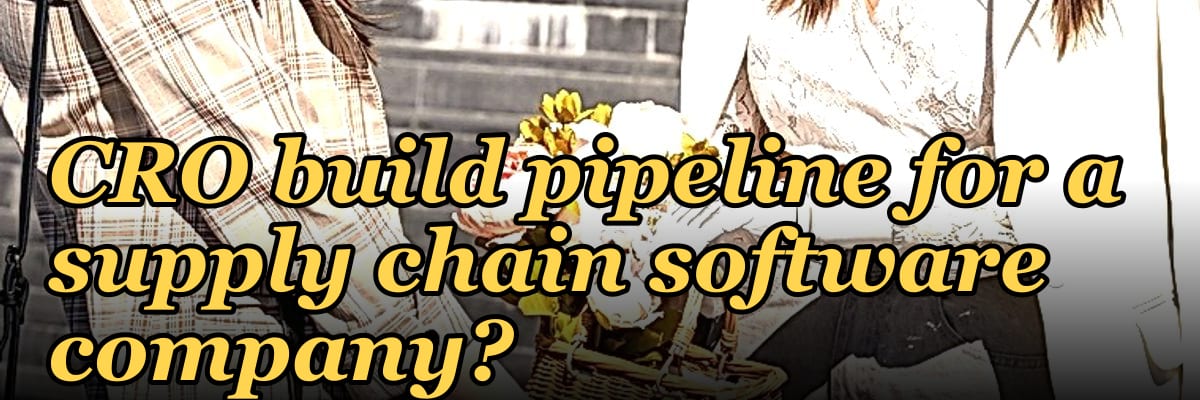 How does a fractional CRO build pipeline for a supply chain software company in 2027?