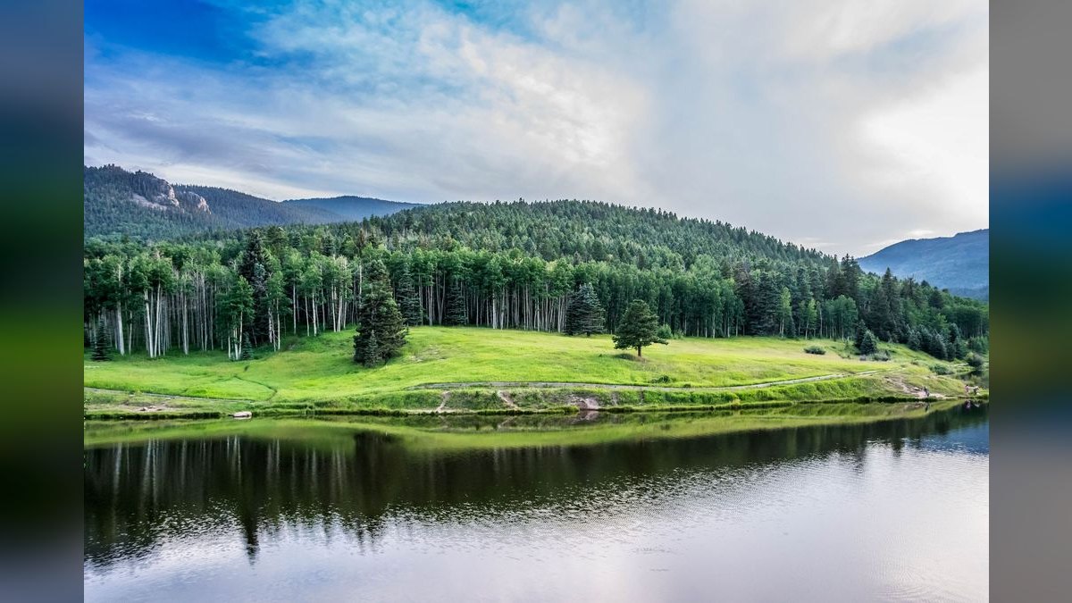 How do I evaluate a fractional CRO in Colorado Springs — figure 5