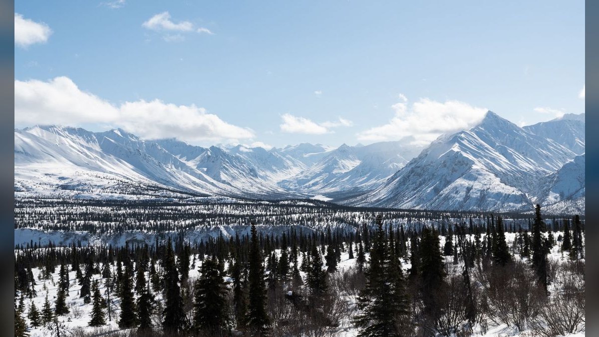 How do I evaluate a fractional CRO in Alaska — figure 2