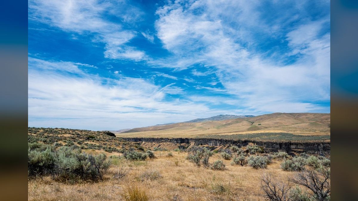 How do I evaluate a fractional CRO in Idaho — figure 1