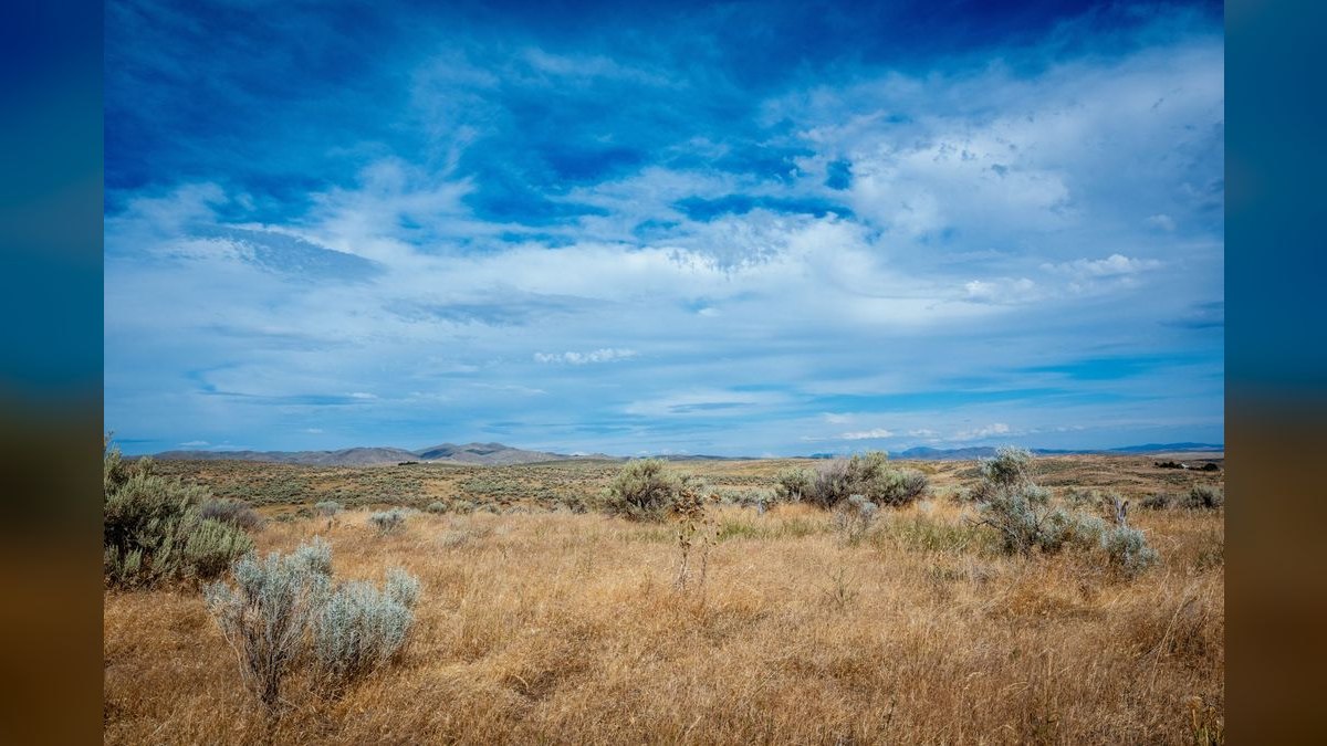 How do I evaluate a fractional CRO in Idaho — figure 2