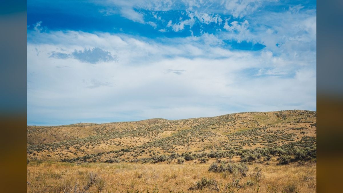 How do I evaluate a fractional CRO in Idaho — figure 3
