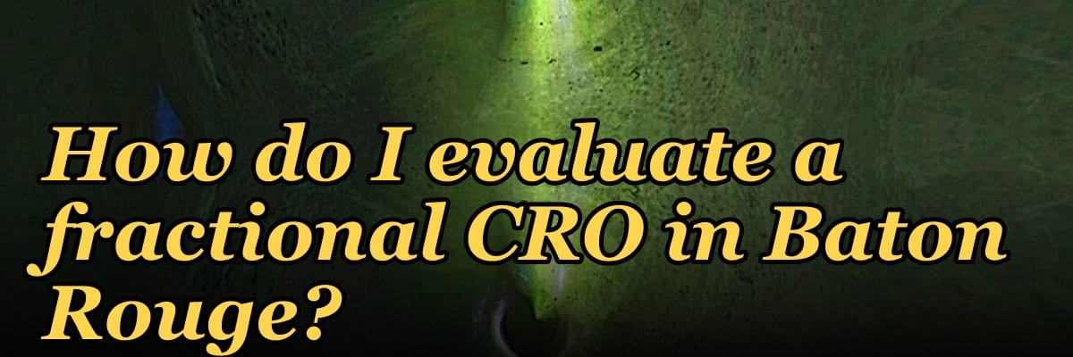 How do I evaluate a fractional CRO in Baton Rouge in 2027?