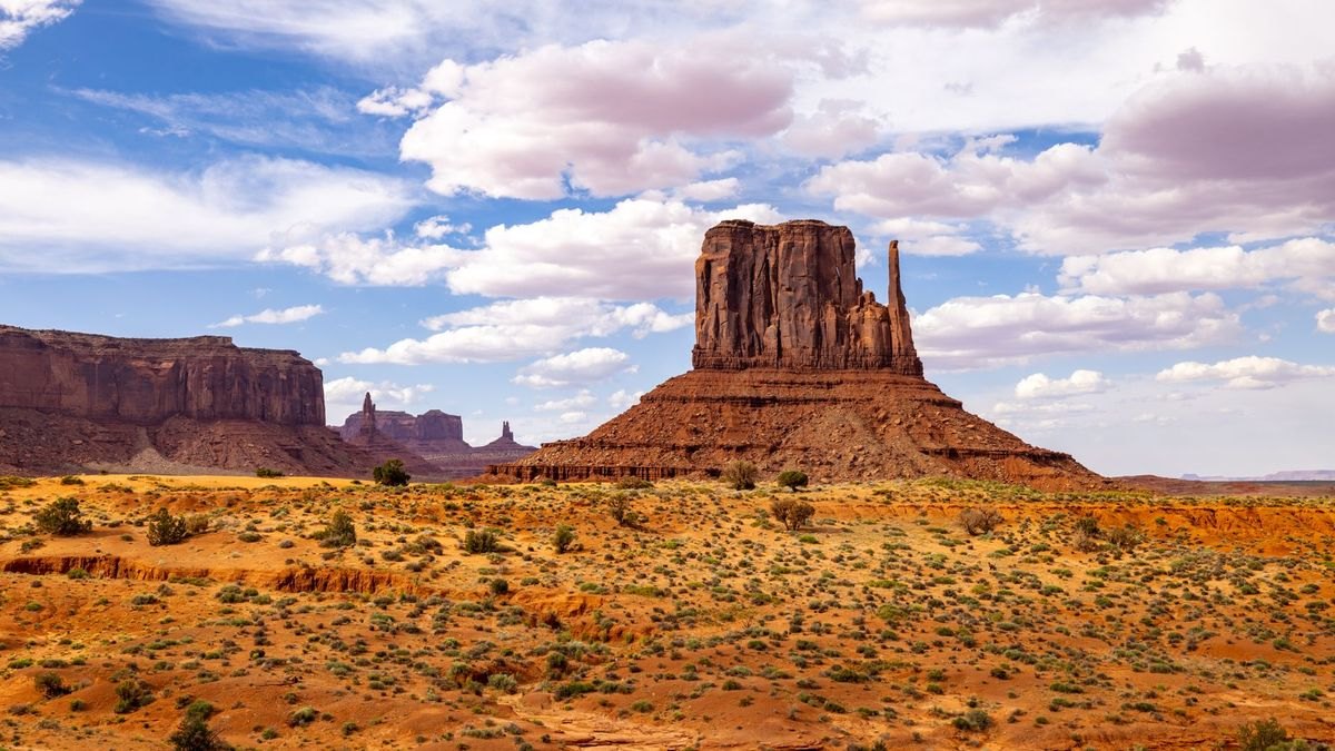 How do I evaluate a fractional CRO in Arizona — figure 5
