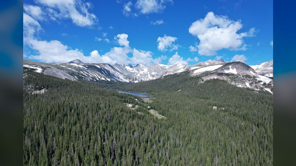 How do I evaluate a fractional CRO in Colorado — figure 5