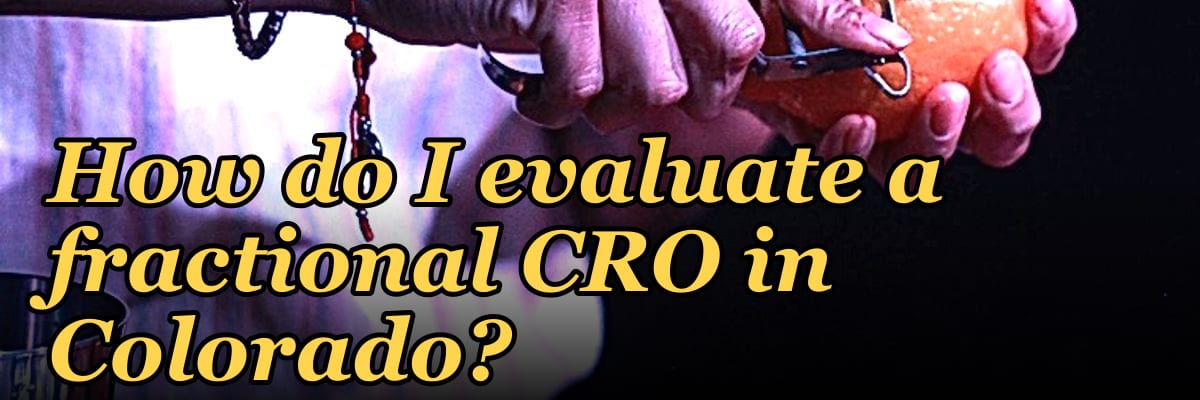 How do I evaluate a fractional CRO in Colorado in 2027?