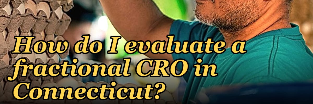 How do I evaluate a fractional CRO in Connecticut in 2027?