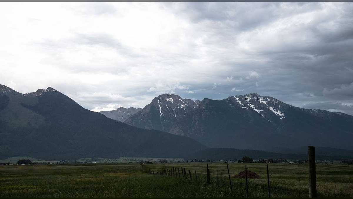 How do I evaluate a fractional CRO in Montana — figure 1