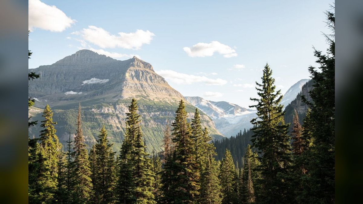 How do I evaluate a fractional CRO in Montana in 2027?