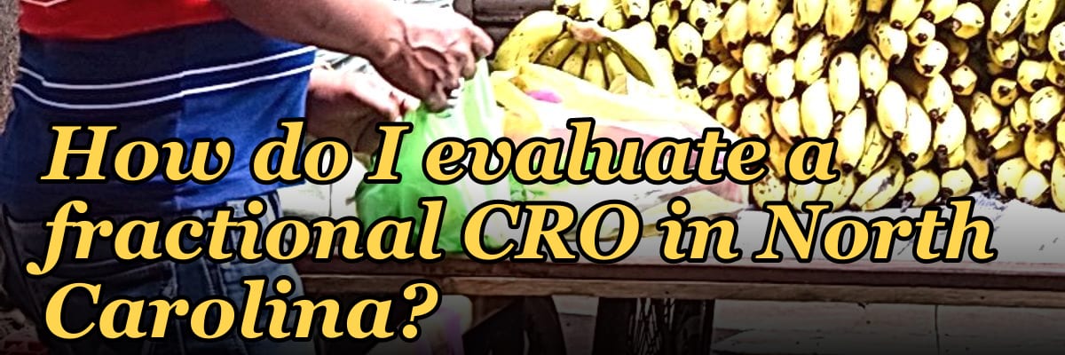 How do I evaluate a fractional CRO in North Carolina in 2027?