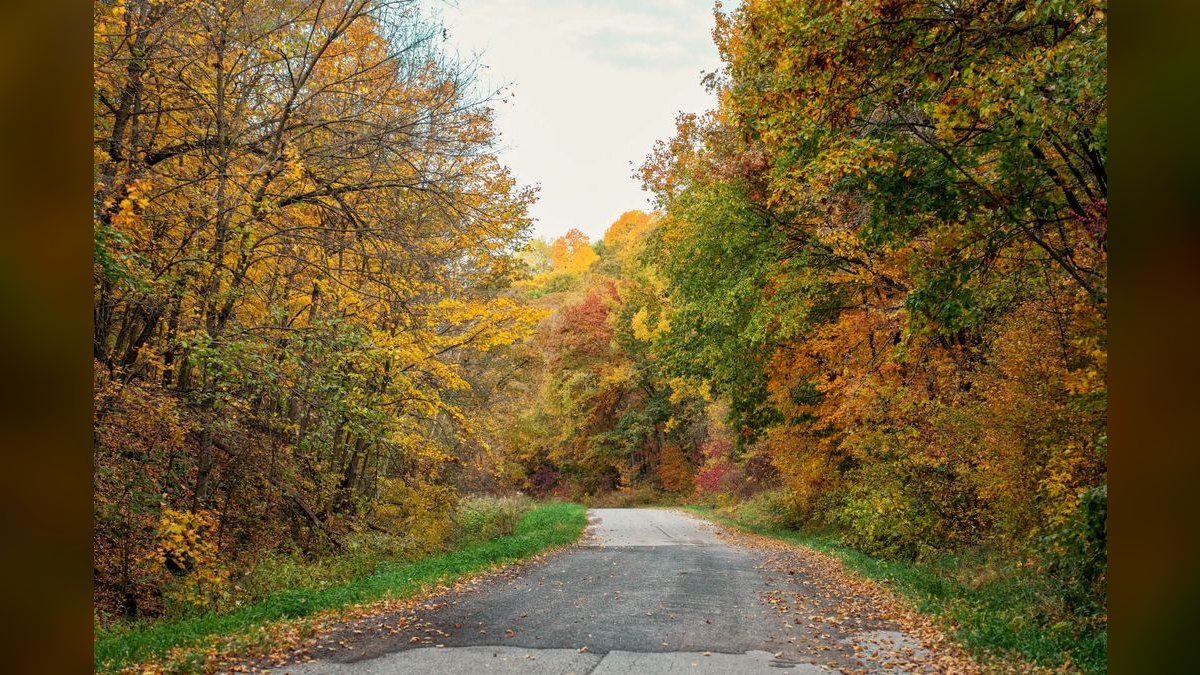 How do I evaluate a fractional CRO in Wisconsin — figure 4