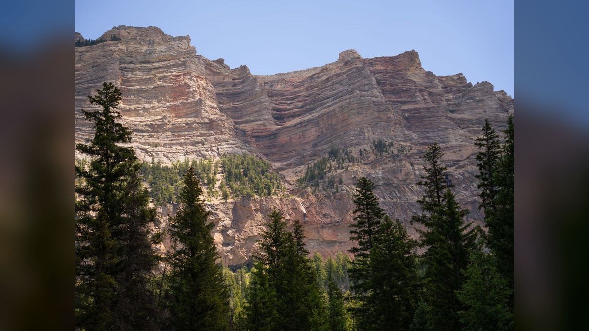 How do I evaluate a fractional CRO in Wyoming — figure 3