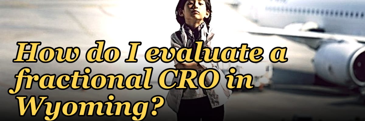 How do I evaluate a fractional CRO in Wyoming in 2027?