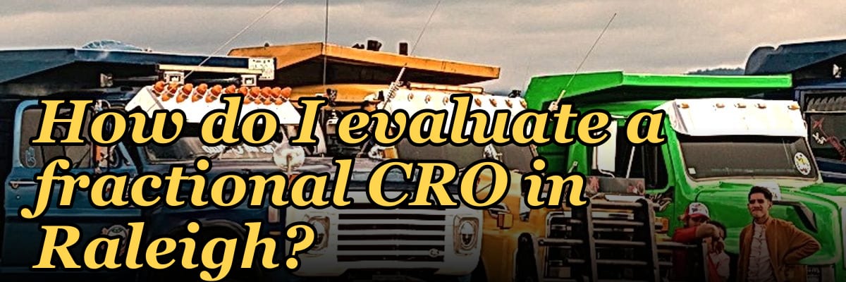 How do I evaluate a fractional CRO in Raleigh in 2027?