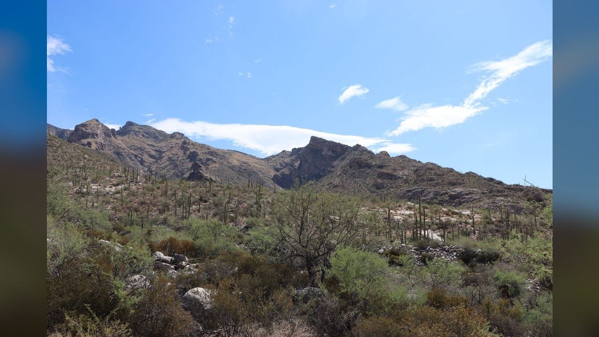 How do I evaluate a fractional CRO in Tucson — figure 4