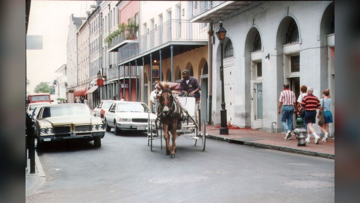 How do I evaluate a fractional CRO in New Orleans — figure 2